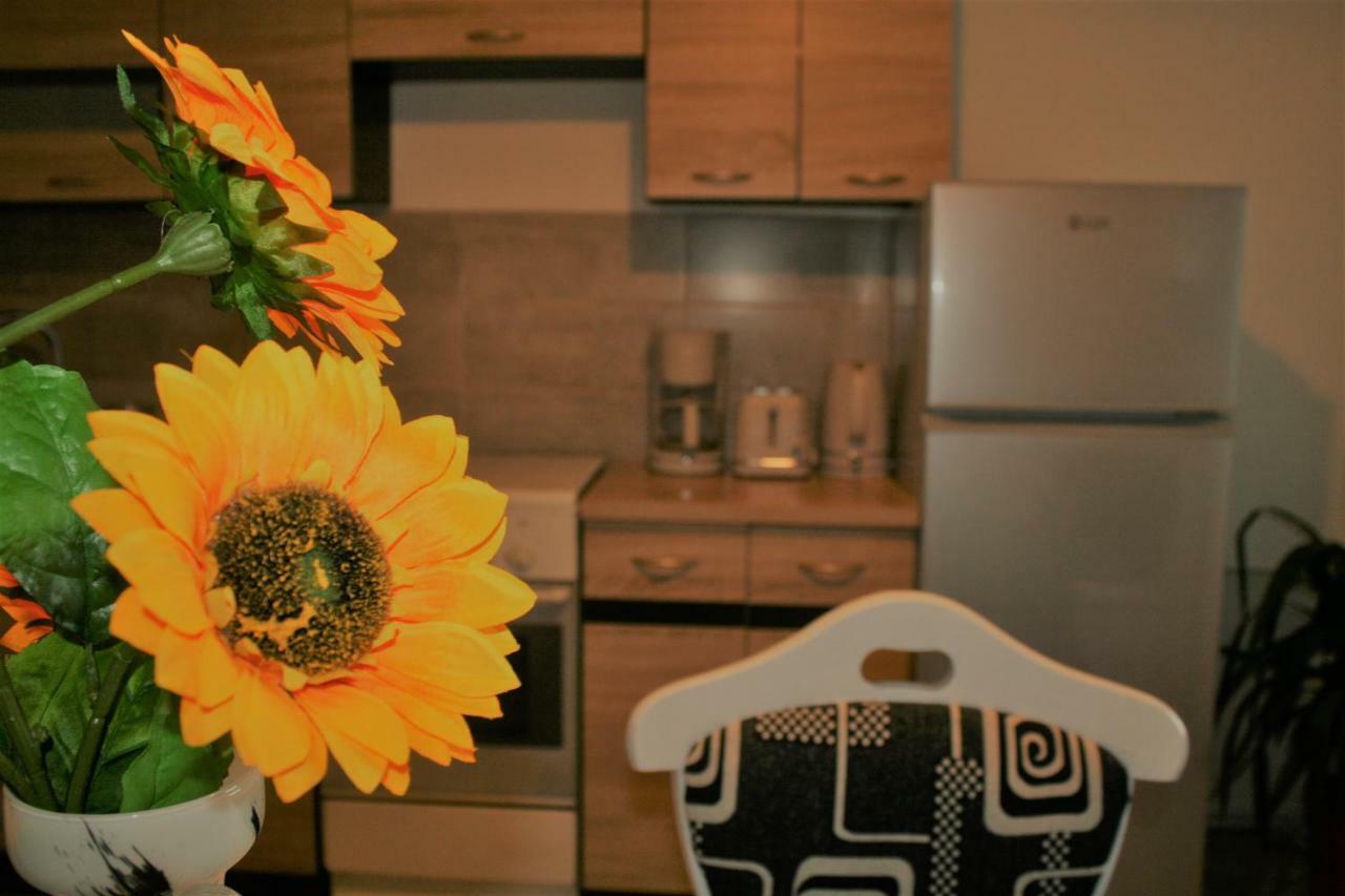 Casa Peterfi - Apartment With 3 Bedrooms And Spacious Living Room Târgu-Mureş Dış mekan fotoğraf